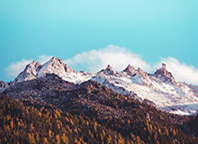 开云体育官网：让体育激情在指尖燃烧—专业、可信、便捷的在线投注平台